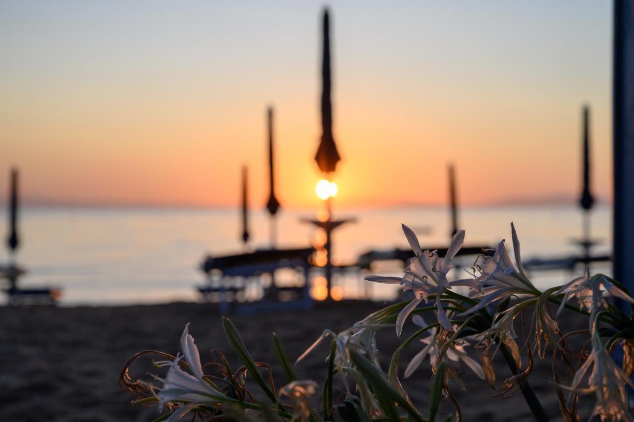 Hotel Le Acacie Capoliveri  Dış mekan fotoğraf